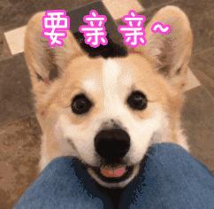 海淘又出事！6岁姐妹花喝了……紧急送医洗胃！很多家庭常备，隐藏巨大风险！