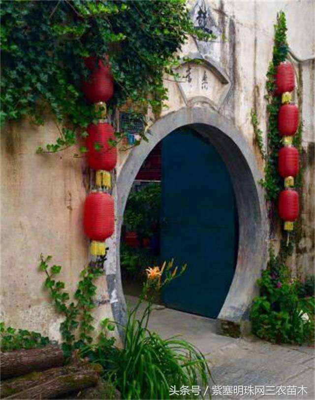 宏村古镇旅游攻略住宿,宏村婺源景德镇旅游攻略