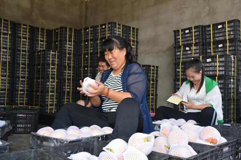 种植石榴一年的收益,种植一亩普通石榴能赚多少钱