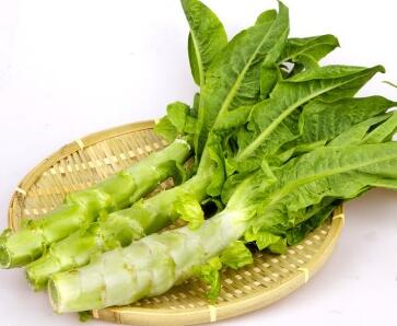 钓鱼“饵料”有哪些？没想到水果蔬菜都能做饵料！你还不知道吧！