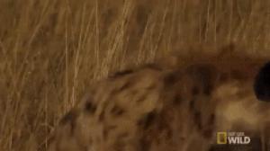 知乎b站微博区别,微博抖音b站知乎