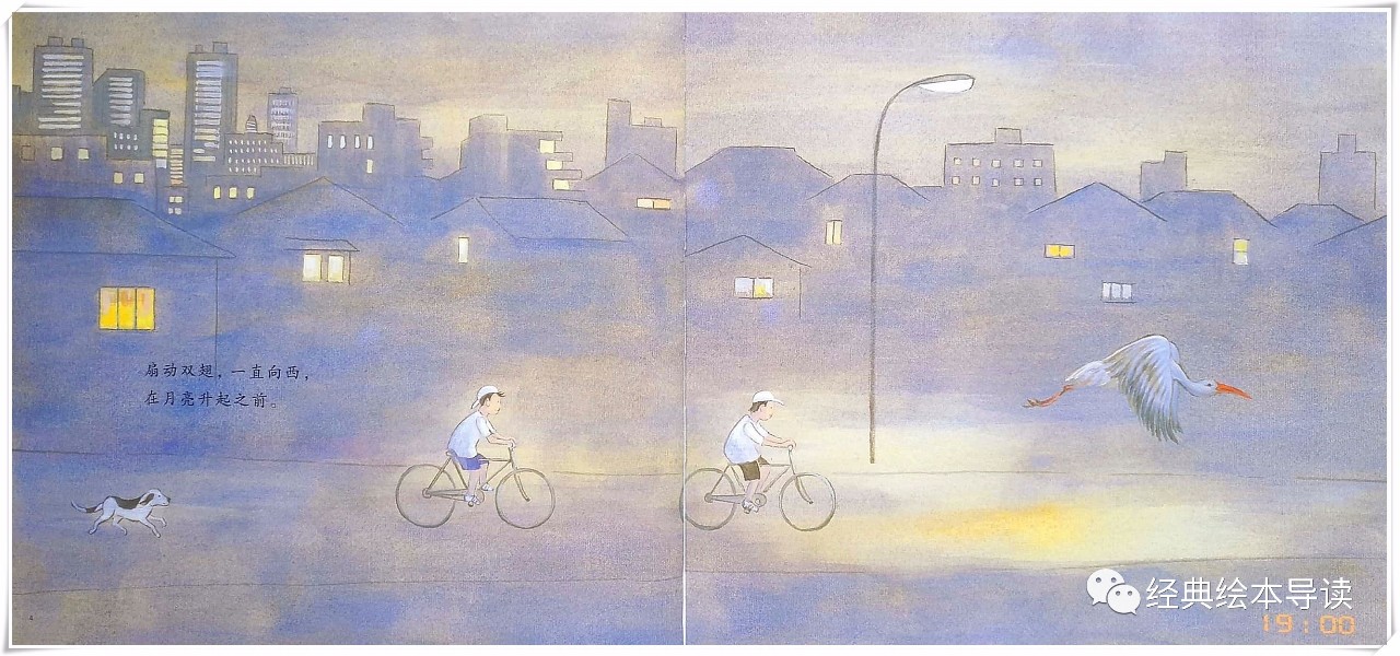 一只大鸟儿的奇妙飞行