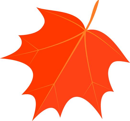 「优秀教学团队」妇产科：师徒相携，薪火相传