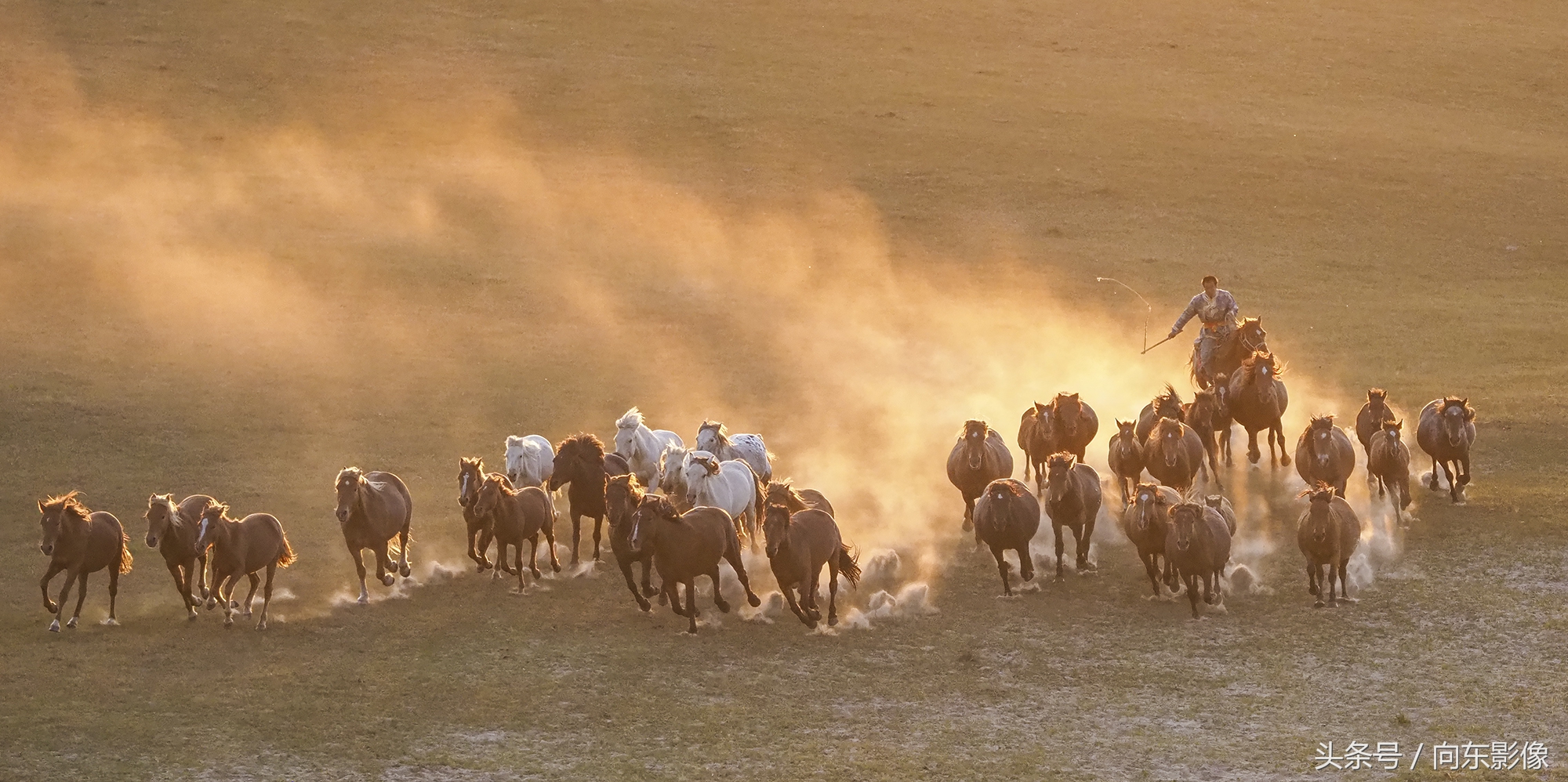奥林巴斯配什么镜头,奥林巴斯配曲