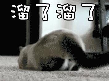 借强东大佬这档事儿，八卦下让土豪们ssfd的「仙人跳」是啥意思