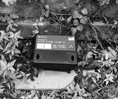 灭蚊蝇器能灭老鼠吗,驱蚊灭鼠器材