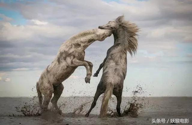 生活究竟有多么残酷,如果你觉得生活很苦不妨看一看