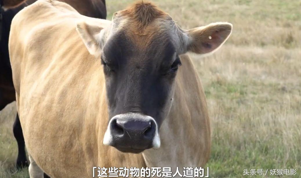 生活究竟有多么残酷,如果你觉得生活很苦不妨看一看