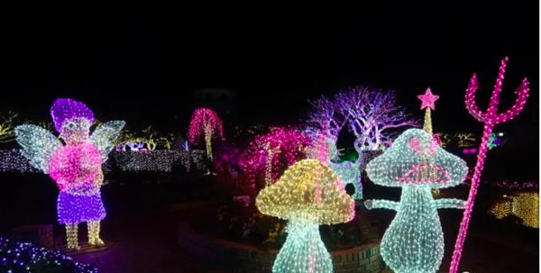 济州岛一年往返12次,到济州岛旅行行程