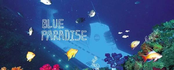 到济州岛旅行行程,济州岛一年往返12次