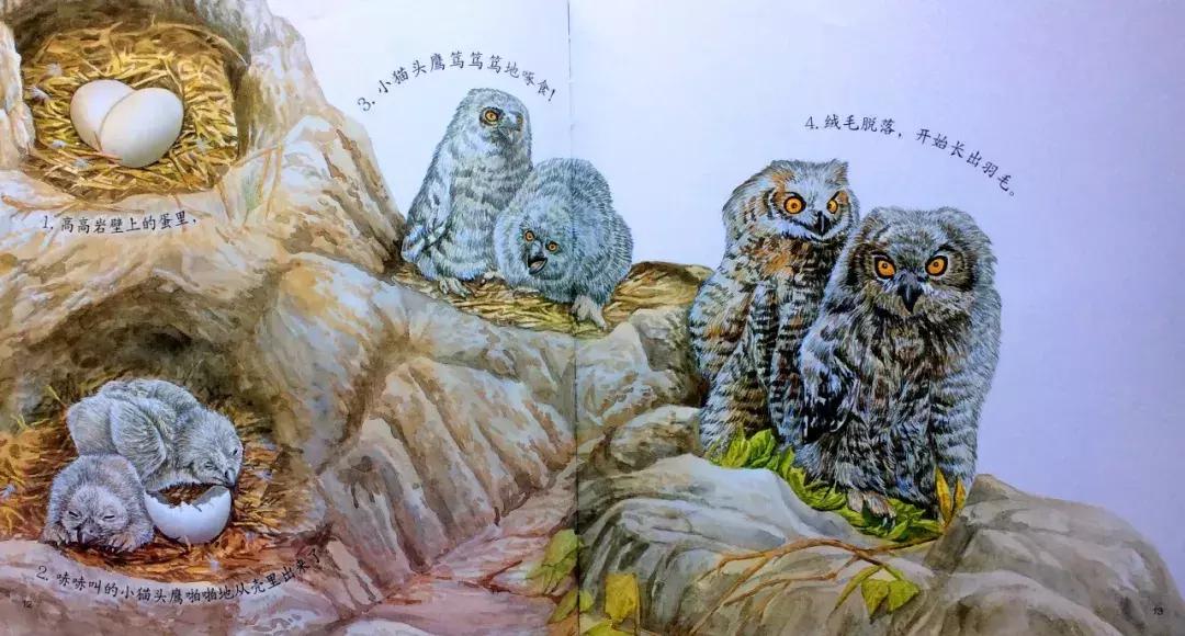 1-3岁地板书绘本,儿童绘本3-6岁套装推荐