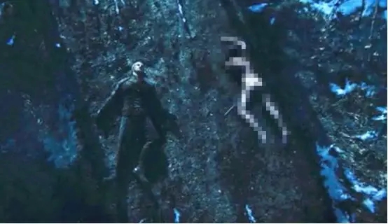 巫师3危险的游戏杜克要杀吗,巫师3狂猎是什么类型的游戏