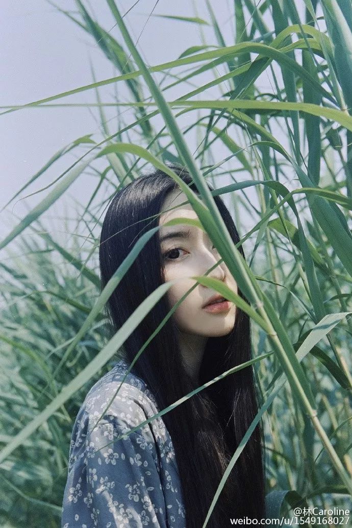 央视最美插画,央视点赞最美老师