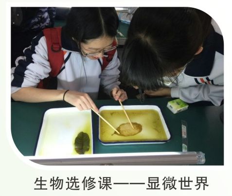 福州十一中初中排名第几,福州十一中升到一类达标校