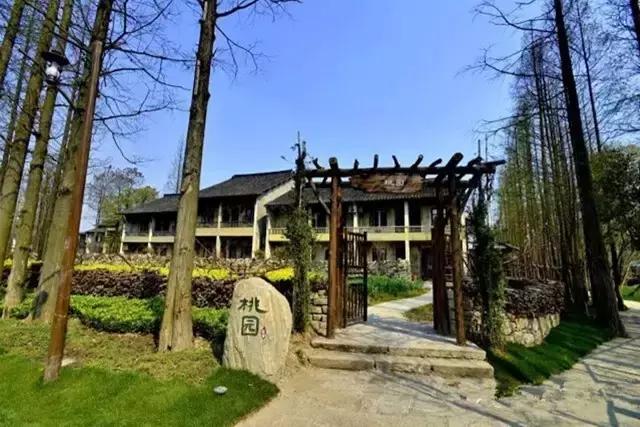 乡村振兴看浙江,乌镇乌村考察报告