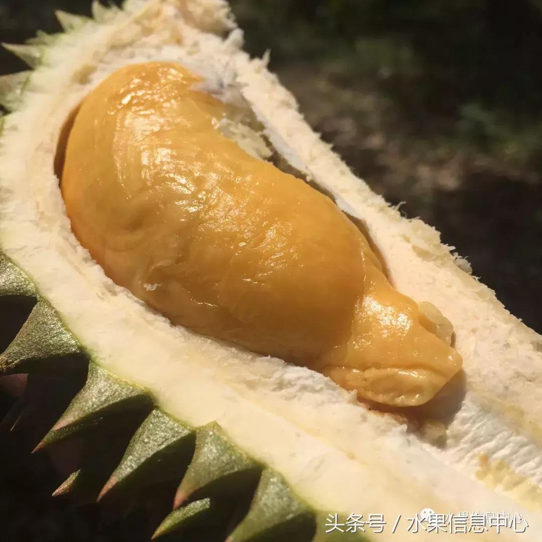 从榴莲代购起家，到64个实体销售点，他势要打造一个榴莲王国