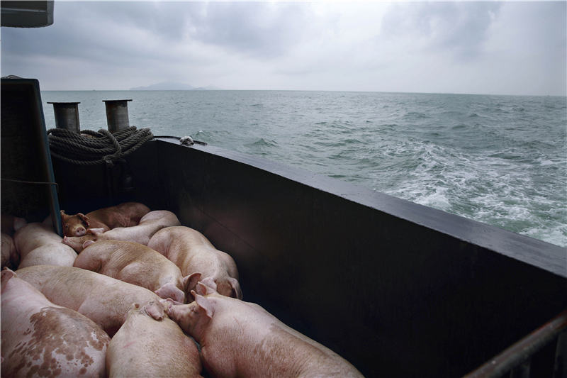 珠江出海口群岛,珠江三角洲中国南大门