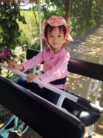 稻梦空间亲子游一日游,亲子游玩沈阳稻梦空间跟团游