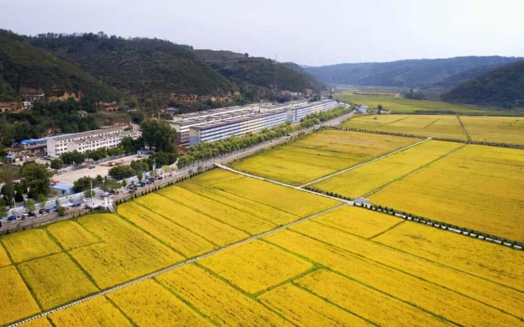 划重点｜鼓励农业科研人员到企业兼职兼薪“名利双收”