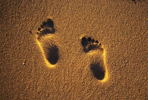 一行禅师释佛经典语录,一行禅师的人生智慧