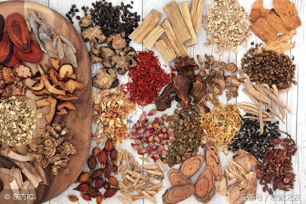 广西中药材示范基地种植情况,广西的中药材种植基地在哪里