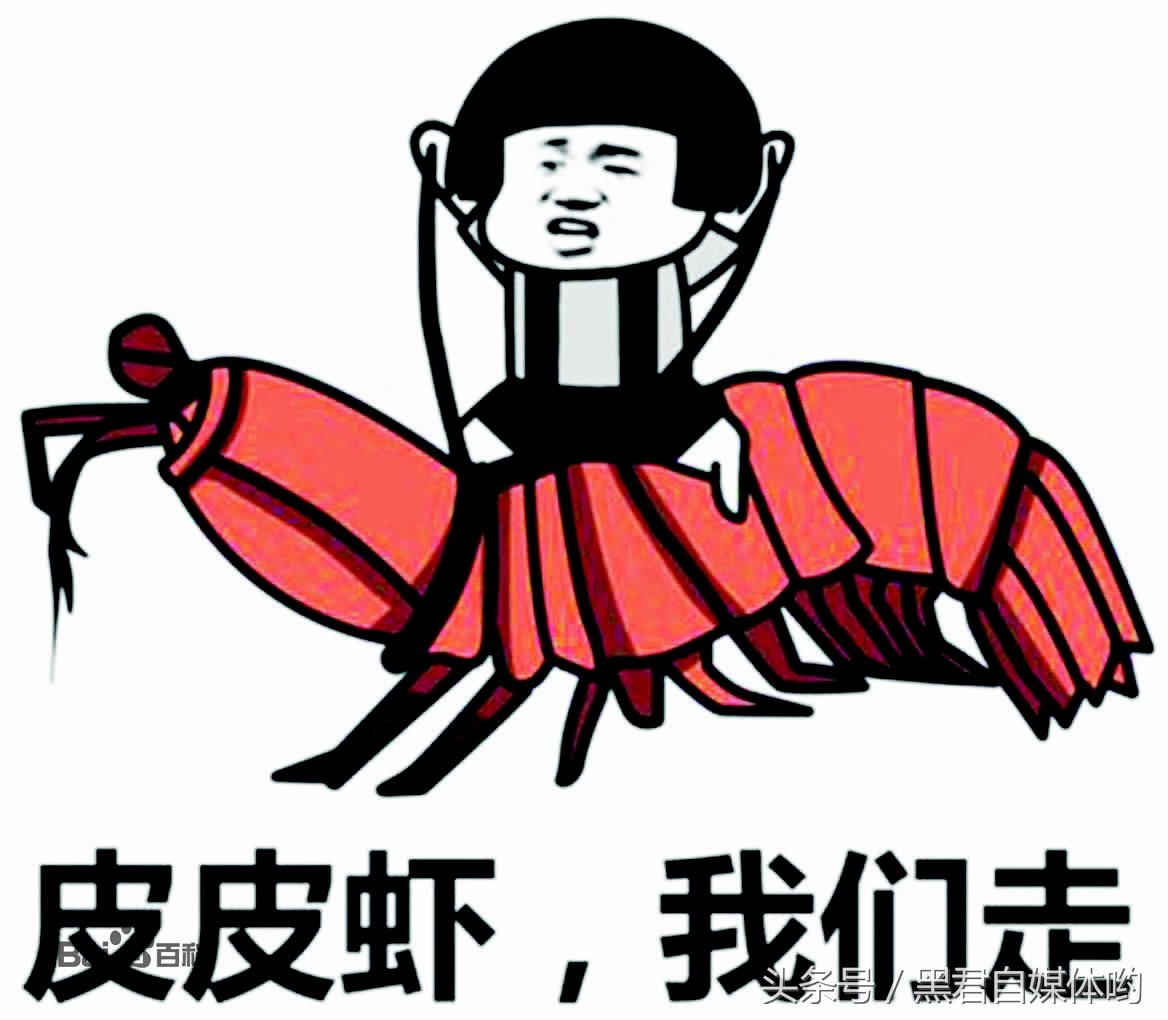 四个字的网络流行用语,直播常用语网络流行用语