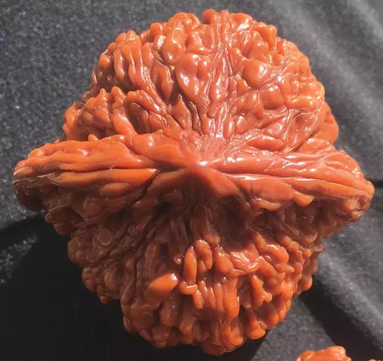 文玩核桃满天星盘出柿子红的包浆长这样