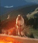 被噪音吵得睡不着怎么办,被噪音吵的不知道该怎么办了