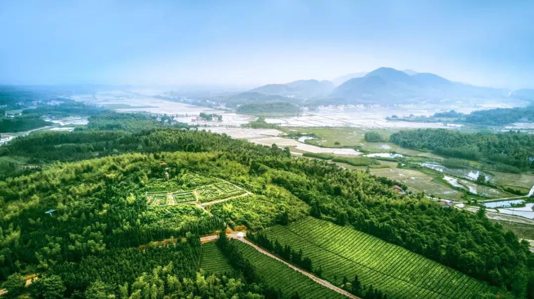 全球最大茶文化主题公园,赤壁青砖茶文化生态产业园