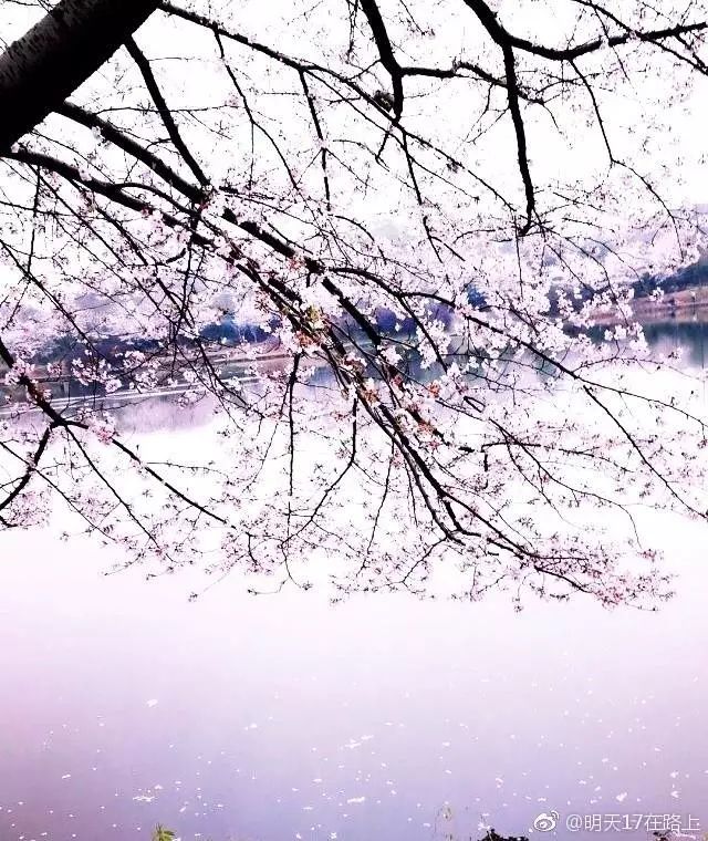 南昌所有旅游景点,南昌49个景点免费