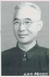 苔藓王国,奇妙的苔藓世界