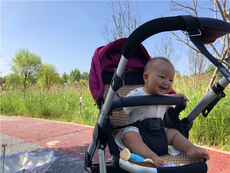轻便高景观婴儿推车最强测评,高景观轻便双向婴儿推车推荐