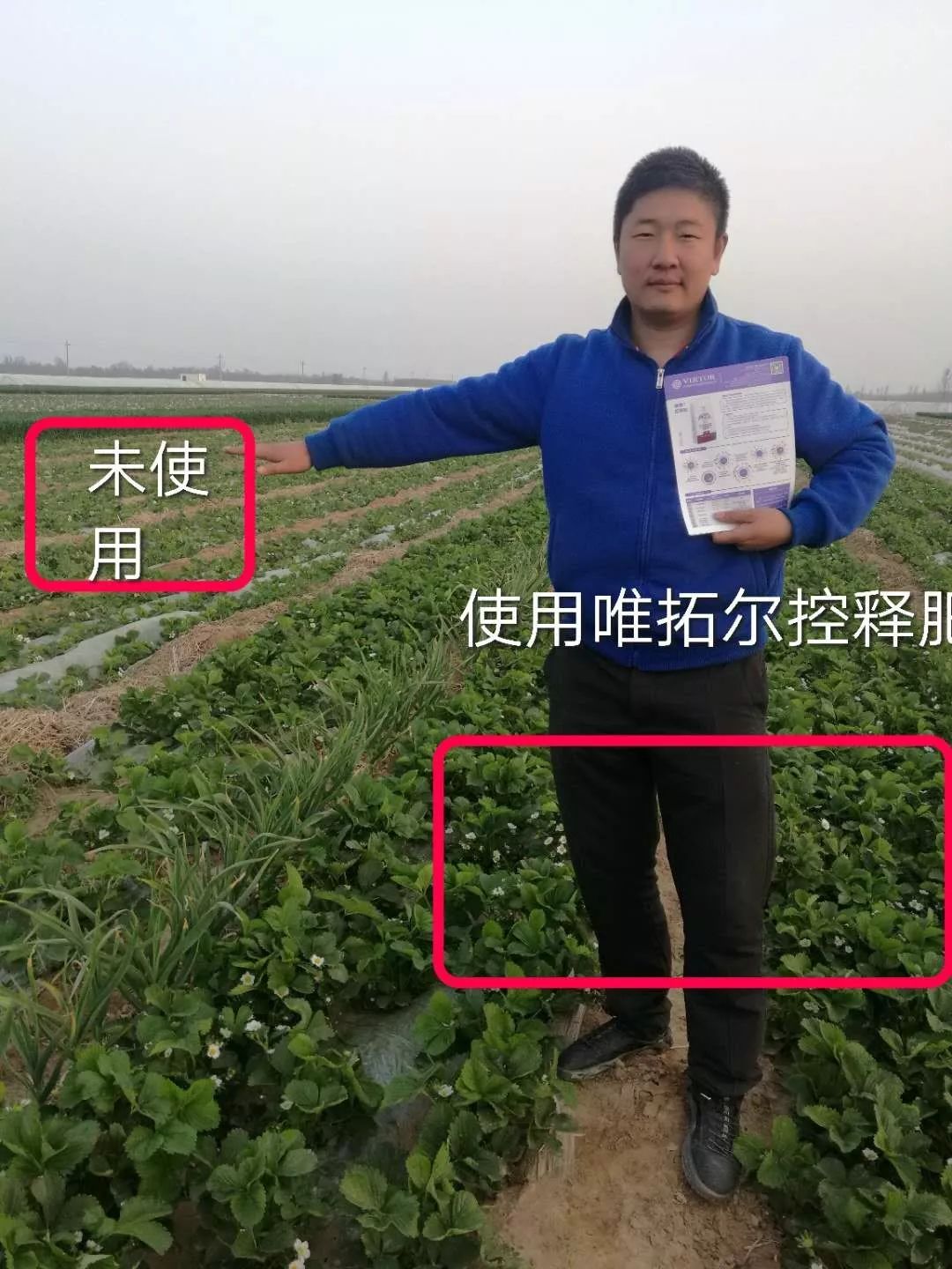 优质控释肥,唯拓尔施肥技术