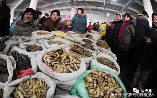 中药饮片造假常识,中药饮片经典鉴别方法有哪几种