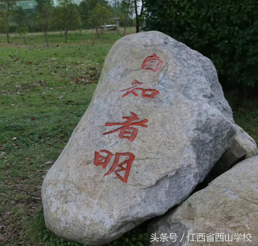 在昆明西山区读书好不好,西山学校到底如何