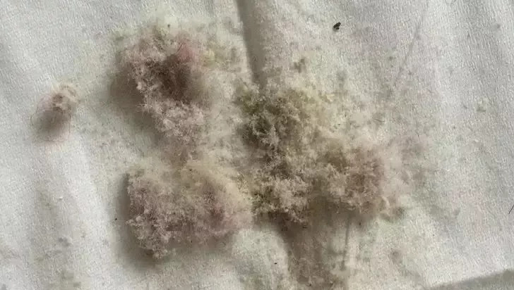 杀灭螨虫的中草药,天然除螨包去除螨虫