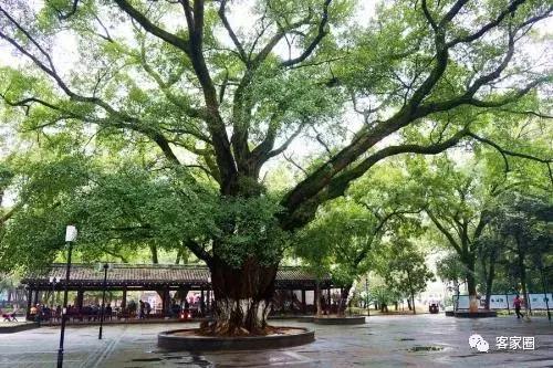 赣州市老城区繁华还是新城区繁华,赣州好还是赣县好