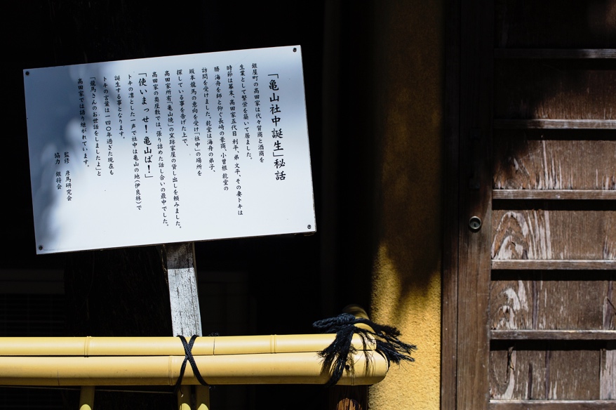 海洋量子号游轮,豪华邮轮游儿童