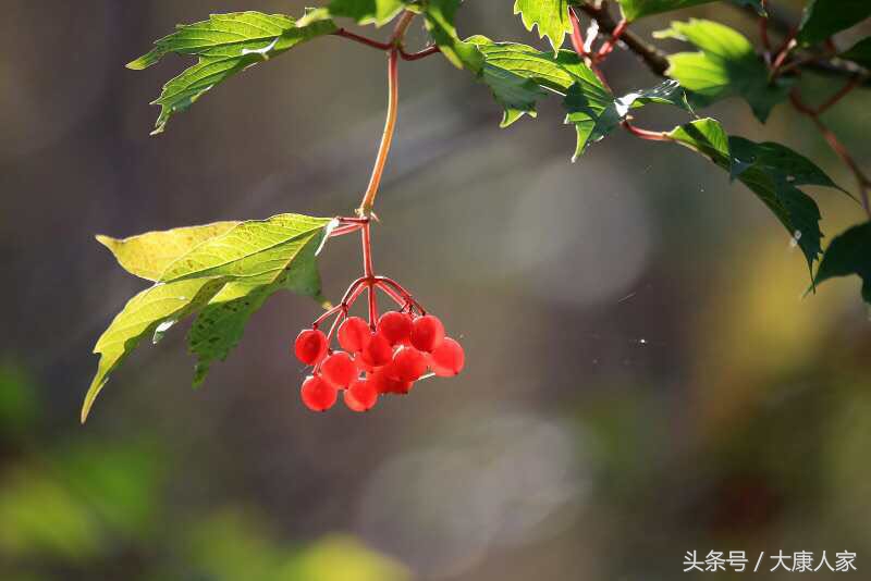 敲打二十年，键盘粘连一颗缠绵心！