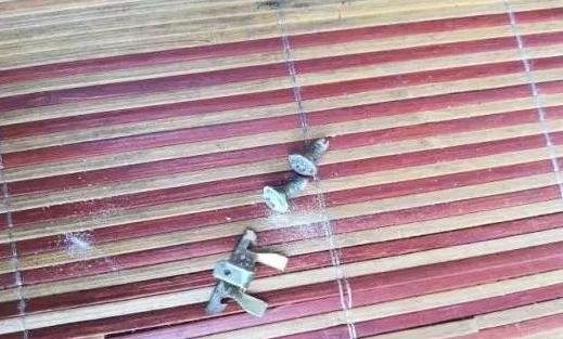 汽车大灯不亮原因及解决办法,汽车大灯不亮排除的方法步骤