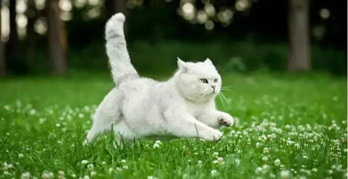 跑步单词run,跑步是有趣的用英语怎么说