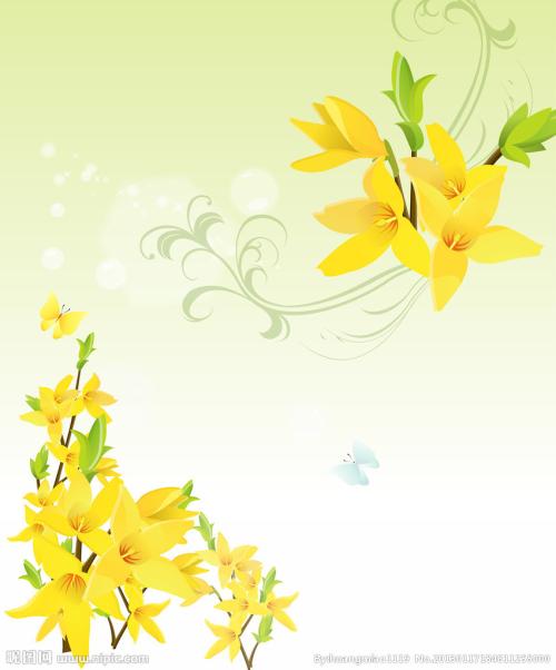 养花方法大全,花店一般怎么养花护花