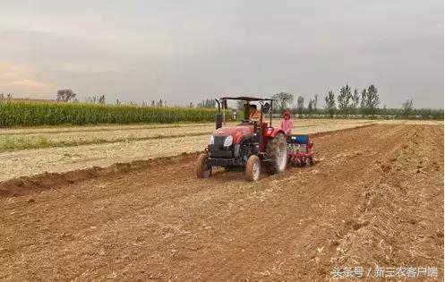 今年小麦减产严重吗,今年小麦播种面临的不利因素