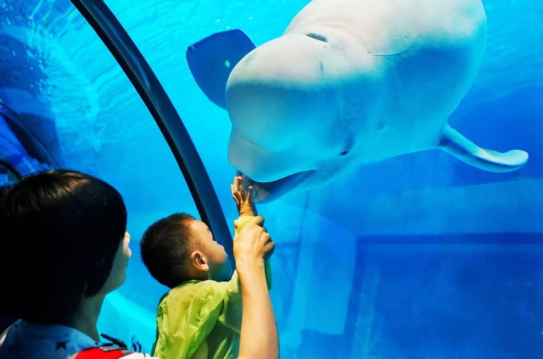 倒计时3天，“德闲”过嚟玩~正佳广场嗨足15天的剁手攻略在此！