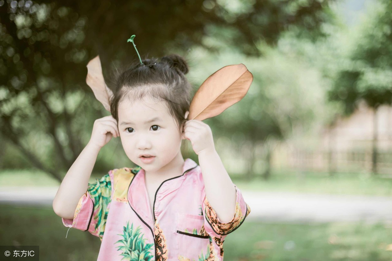 g大师镜头24-70焦段,24-70镜头哪个焦段最清晰