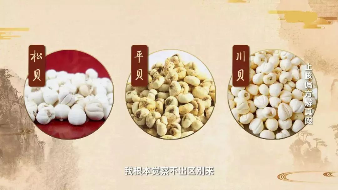 麦冬治咳嗽的小偏方,咳嗽快速止咳小偏方洋葱