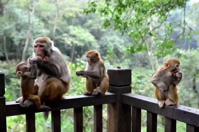 国庆贵州自由行旅游攻略最佳线路,国庆七天游贵州旅游攻略