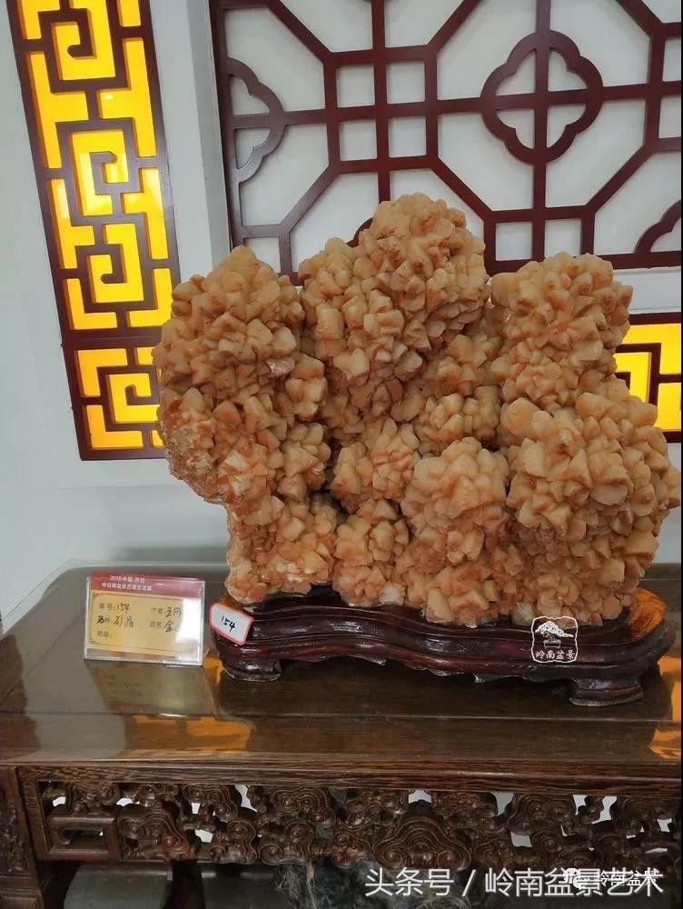 百年精品流苏老桩盆景,精品南天竺盆景