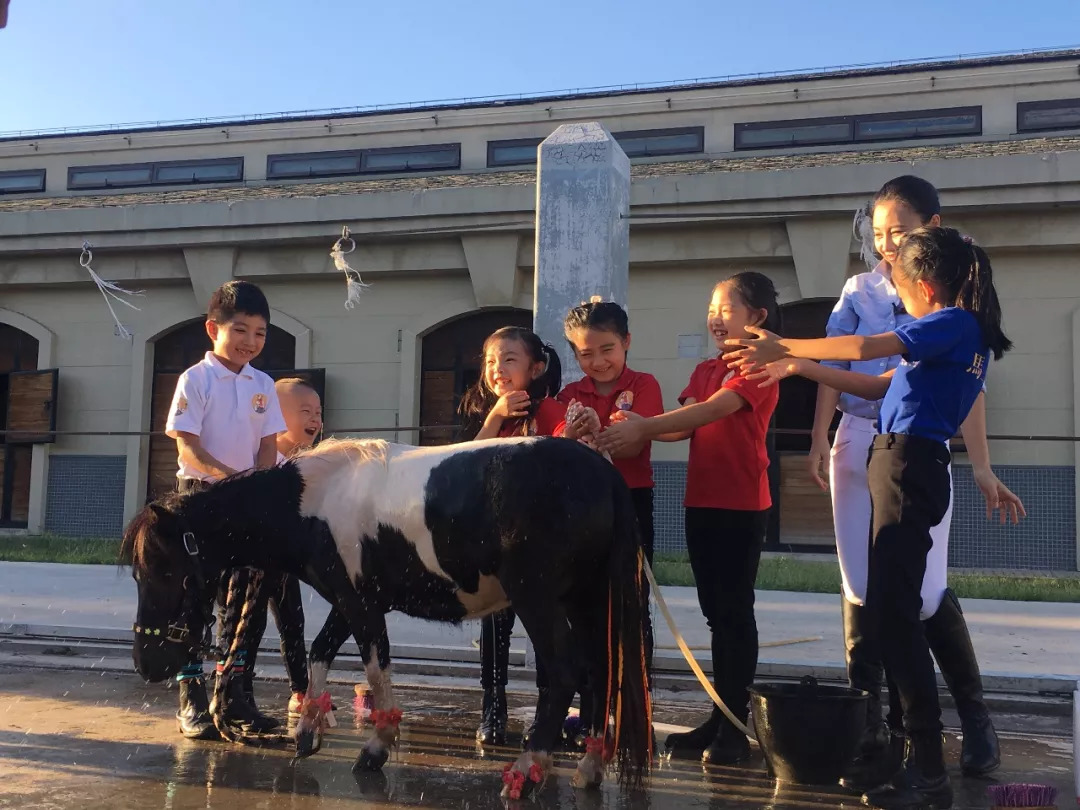 「竞赛通知」富国高银杯2018 FFE PONY挑战赛