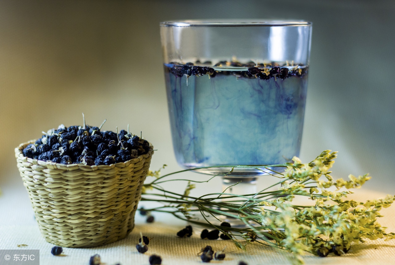 蒲公英和枸杞可以降尿酸吗,菊苣根和枸杞泡水降尿酸